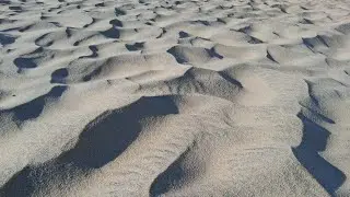 Shifting Sands + Erosion at Jockey's Ridge 
