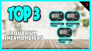 Best Aquarium Thermometers In 2023