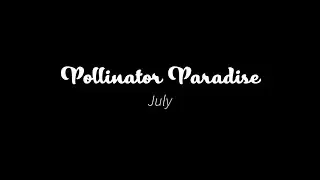 Pollinator Paradise