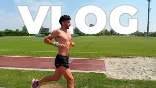 2 settimane di fuoco: crolli, decisioni, ripartenze - VLOG SETTIMANALE