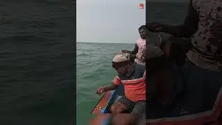 Sea Fish Catching Videos #fishing #fishingvideo #oceanfishing