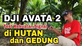 TEST JARAK TERBANG KEKUATAN SIGNAL // DJI AVATA 2 DIDALAM HUTAN DAN GEDUNG