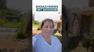 What Every Horse Owner Must Know About Natural Back Health