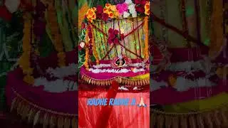 Hathi ghoda palki
