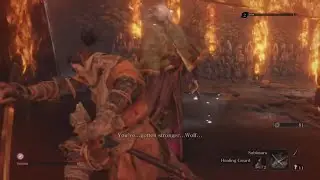 You Have Gotten Stronger Young Wolf | Sekiro Montage Play-Through