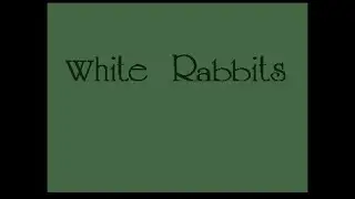 White Rabbits (1996) from Andrew J Campbell on the Amiga - Decent little puzzle game