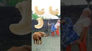 Rounding kaju badams to Tiger, Lion, Horse & Elephant - Animals names magic video