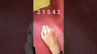 21542