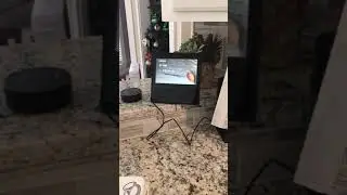 Kids figure out Alexa shopping list 😳😂
