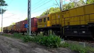 SM42 Orion Kolej SPENO