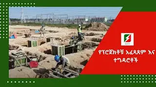 የፕሮጀክቶቹ አፈጻጸም እና ተግዳሮቶች/ Project Performance and Challenges