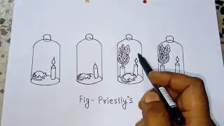 Priestly's and Ingenhousz experiment|Easy explanation-Hindi