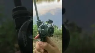 BFS Reel and Rod #bfsfishing #fishing #fishingequipment #bassfishing #fishinggear