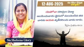 Today's Promise and Prayer | Shekena Glory Short Message | God Greatest Miracles | Shekena Glory
