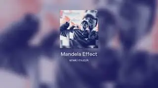 Mandela Effect