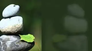 dharmakara's aspiration