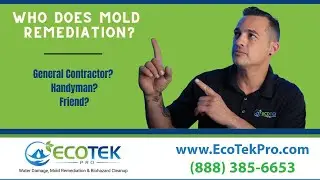 Who Does Mold Remediation?  | Who To Hire For Mold Removal