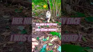 Ну, можно сказать 10? ❤️ Красивые шорты с рисунком кота-тёплого кота