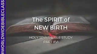 The Spirit gives Life