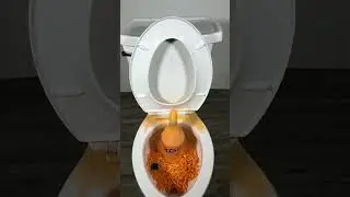 toilet flushing fanta mentos