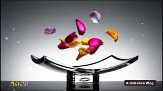 Sorry Na - J.Brothers Band (lyrics)#sorryna #sorrynalyrics #jbrothers #aidababes