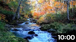 10 Minute Countdown Timer | River + Forest Sounds