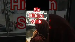 Six Hidden Shirk!#allah #religion #reading