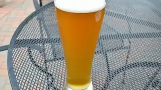 Blonde Ale Featuring German Hull Melon Hops
