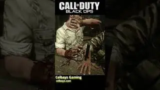 Celbays Gaming - CALL OF DUTY Black Ops Woods knife and bottle kill