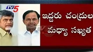 CM KCR and Chandrababu Skips Governor At Home Event | Republic Day | Raj Bhavan | TV5 News