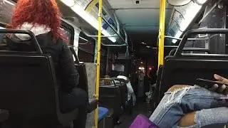 CT Transit HD: Riding New Flyer D40LF 341 On the O2 Route Downtown New Haven - Westfield Post Mall