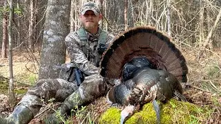 Getting In Front Of A Silent Gobbler