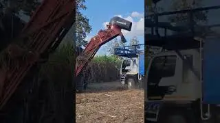 Case ih 8810 in Thailand #music #unstoppable #challenge #automobile #xcavator #farming