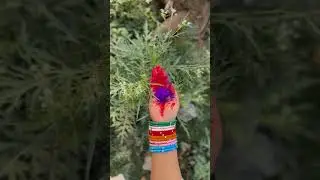 Holi 2023 💙 Happy Holi from Us to YOU 💙 #shorts #youtubeshorts 💙 Vaishali Mitra