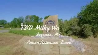 TBD Milky Way