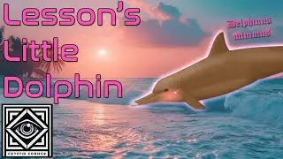 Lesson's Little Dolphin | The Cutest Cryptid EVER