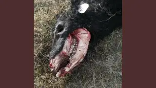 Slaughter The Innocent/Unholy Massacre (Early Demo)