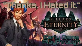 Pillars of Eternity: A Bad Time(For Me)