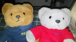 AG Bear by Axlon