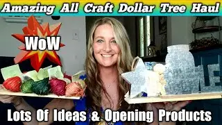 AMAZING DOLLAR TREE ALL CRAFT HAUL| SHARING DIY IDEAS & OPENING PRODUCTS | JUNE 2