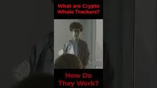 What are Crypto Whale Trackers || How does Crypto Whale Tracker Work
