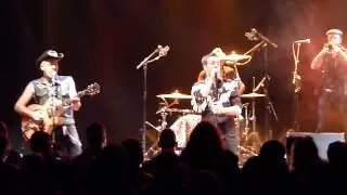 WASHINGTON DEAD CATS -  I'm A Dead Cat - FORUM