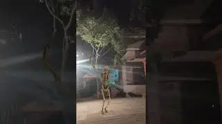 OMG - Ghost Dance Skull Bones Dancing King Skull - Hindi Song Ek Number Tuzi Kambar Shaky Shaky