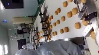 Melaleuca bread bread automatic material line