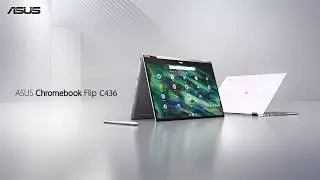 ASUS Chromebook Flip C436  - Der kraftvolle Allesk&ouml;nner