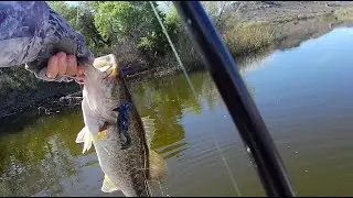 Prefishing Arivaca Lake - April 18th, 2024