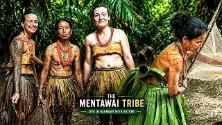 THE MENTAWAI EXPERIENCE TRIBE