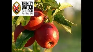 Trinity United Church, SUNDAY GATHERING OCT 19, 2025 - Stewardship Team with Joy Galea