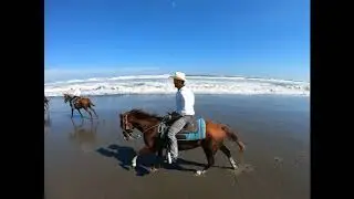 Beach Riding　海外乗　サウス　ヒル　ステーブル　ウェスタン　乗馬　カウボーイ