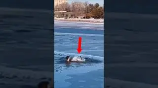 Watch How This Brave Man Saves a #Dog🐶🐾 #pets #animals #heroic